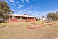 Property photo of 8 Everingham Avenue Roma QLD 4455