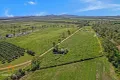 Property photo of 55 Davenport Road Dimbulah QLD 4872