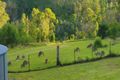 Property photo of 2903 Mount Darragh Road Wyndham NSW 2550