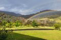 Property photo of 2903 Mount Darragh Road Wyndham NSW 2550