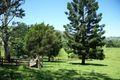 Property photo of 1405 Keerrong Road The Channon NSW 2480