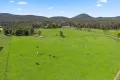 Property photo of 1640 The Bucketts Way Allworth NSW 2425