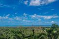 Property photo of 3 Allan Road Conway QLD 4800