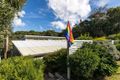 Property photo of 44 Karboora Drive Point Lookout QLD 4183