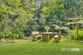 Property photo of 2899 Springbrook Road Springbrook QLD 4213