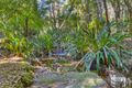 Property photo of 2899 Springbrook Road Springbrook QLD 4213