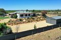 Property photo of 174 Gratwick Road Loxton SA 5333