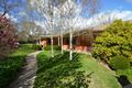 Property photo of 24 Watson Street Avenel VIC 3664
