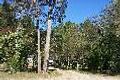 Property photo of 7 Gordons Crossing Road East Joyner QLD 4500