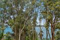Property photo of 121 Dobell Drive Wangi Wangi NSW 2267