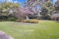 Property photo of 31 Gibson Crescent Sanctuary Point NSW 2540