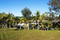 Property photo of 383 Old Coast Road Dorrigo NSW 2453