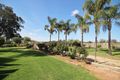 Property photo of 42 Etiwanda Street Renmark West SA 5341