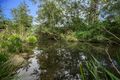 Property photo of 157 Pappinbarra Road Frazers Creek NSW 2446