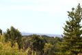 Property photo of 18 Seventh Avenue Anglesea VIC 3230