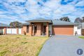 Property photo of 44 Jordan Place Young NSW 2594