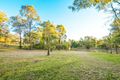 Property photo of 697 Wollombi Road Broke NSW 2330