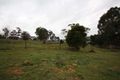 Property photo of 495 Deviot Road Deviot TAS 7275