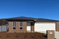 Property photo of 78 Boundary Road Narrandera NSW 2700