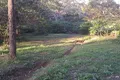 Property photo of 14-16 Wildlife Court Wonglepong QLD 4275