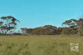 Property photo of LOT 6 Boolgun Road Boolgun SA 5330