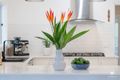 Property photo of 14 Ibis Close Kewarra Beach QLD 4879