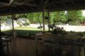 Property photo of 59 Kurrajong Circuit Mount Annan NSW 2567