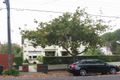 Property photo of 3/123-125 Ruskin Street Elwood VIC 3184