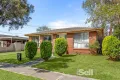 Property photo of 31 Armadale Avenue Noble Park VIC 3174