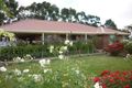 Property photo of 91 Jones Road Kalangadoo SA 5278