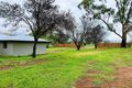 Property photo of 5033 Nundle Road Nundle NSW 2340