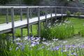 Property photo of 616 Freemans Drive Cooranbong NSW 2265