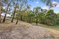 Property photo of 1545 Buninyong-Mt Mercer Road Grenville VIC 3352