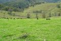 Property photo of 800 Moppy Creek Road Barrington Tops NSW 2422