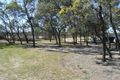Property photo of 173 Newlands Road Cottonvale QLD 4375