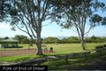Property photo of 29 Alexander Street Lota QLD 4179