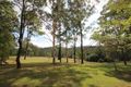 Property photo of 74 Littles Loop Road Upper Rollands Plains NSW 2441