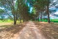 Property photo of 426 Muanu Road Boconnoc Park SA 5453