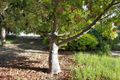 Property photo of 50A Creslin Avenue Ingle Farm SA 5098