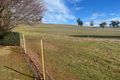 Property photo of 1363 Edith Road Edith NSW 2787