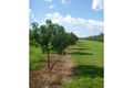Property photo of 335 Hopewell Road Berry Springs NT 0838