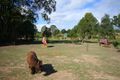 Property photo of 15 Ray Myers Road Imbil QLD 4570