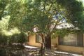 Property photo of 54 Illyarrie Avenue Surrey Downs SA 5126