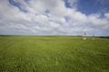 Property photo of 582 Hopkins Point Road Allansford VIC 3277