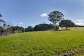 Property photo of 1 Pine Tree Drive Lake Macdonald QLD 4563