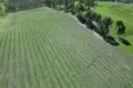 Property photo of LOT 388 McCord Lane Gillentown SA 5453