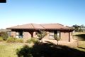Property photo of 45 Shortt Road Glossop SA 5344