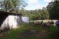 Property photo of 474 Towamba Road Nullica NSW 2551