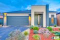 Property photo of 9 Rifflebird Drive Tarneit VIC 3029