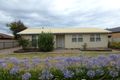 Property photo of 5 Reece Avenue Klemzig SA 5087